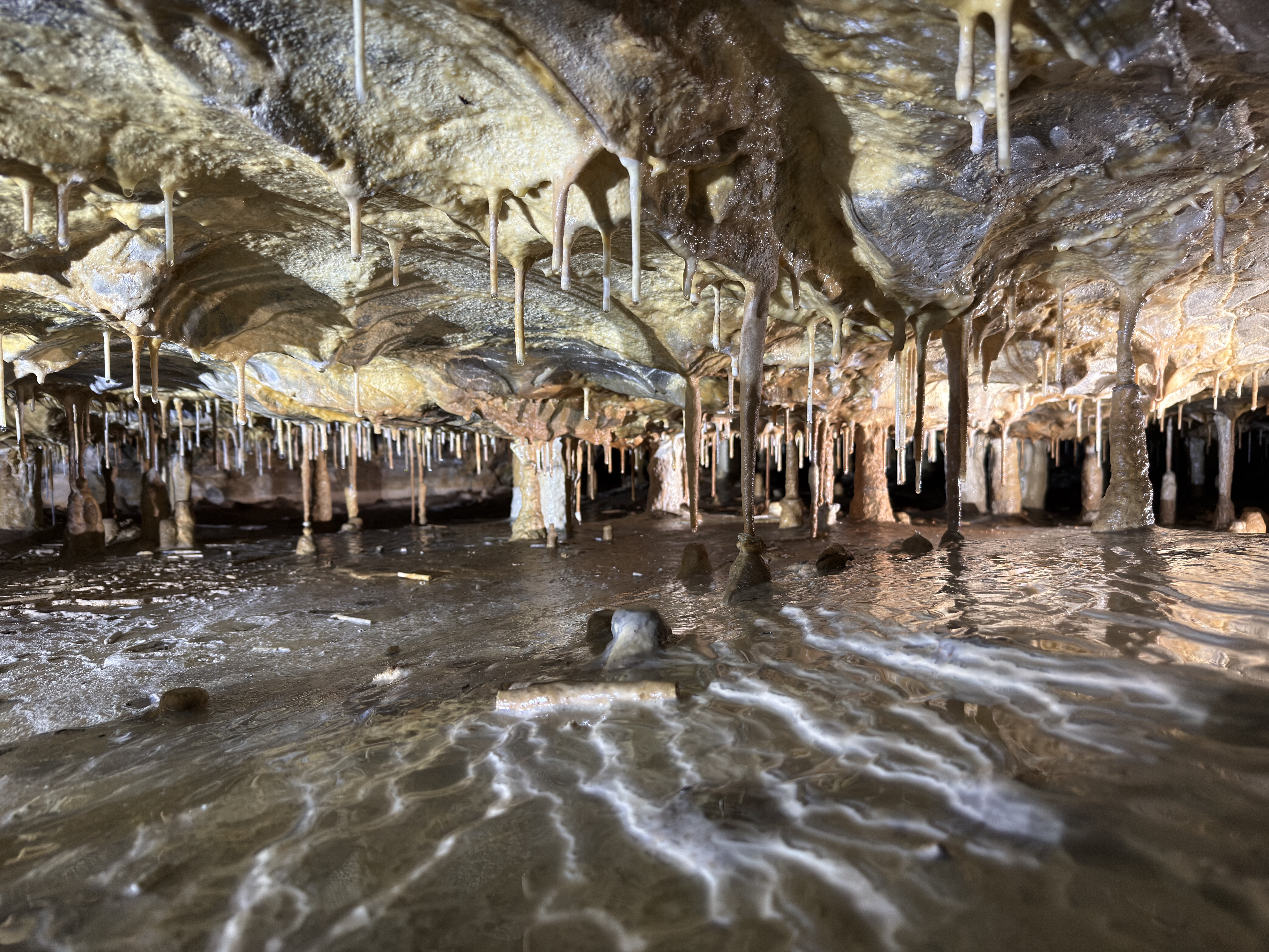 Krápníková část Holštejnské jeskyně