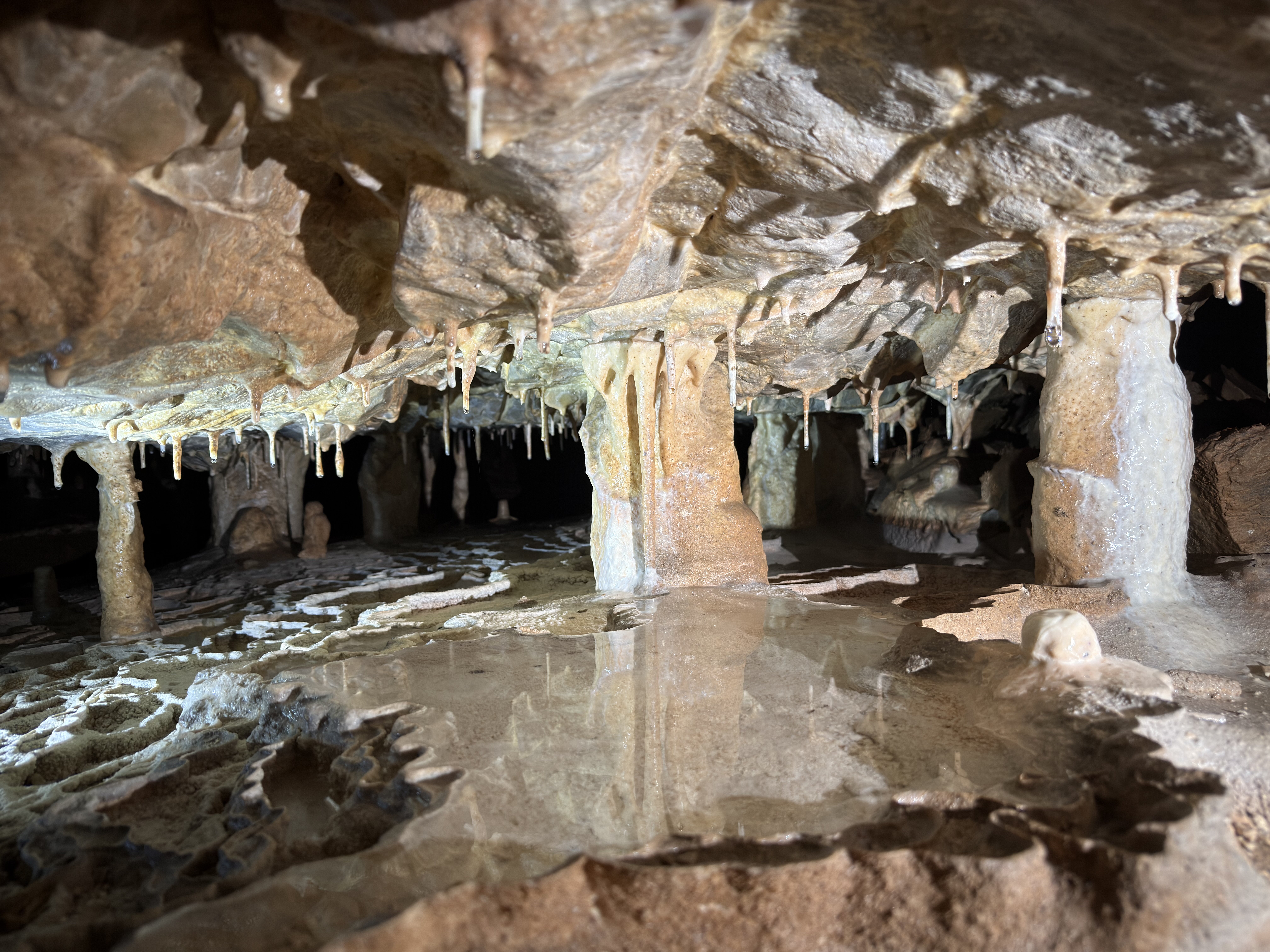 Krápníková část Holštejnské jeskyně