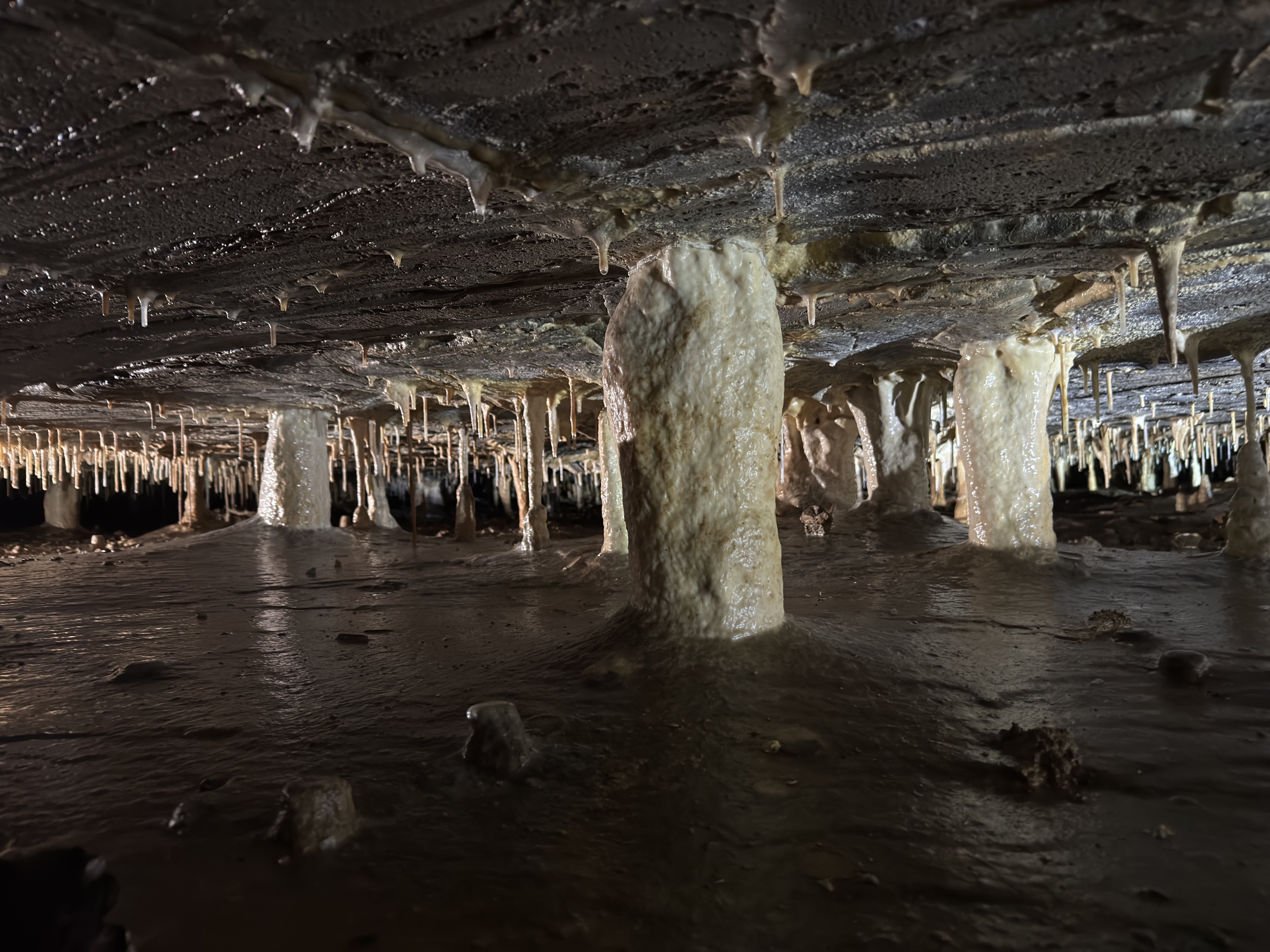 Krápníková část Holštejnské jeskyně